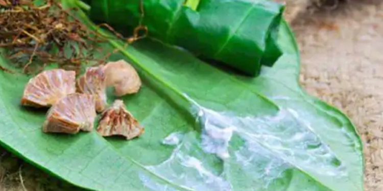 யாழ் மக்களை நெருங்கும் ஆபத்து!