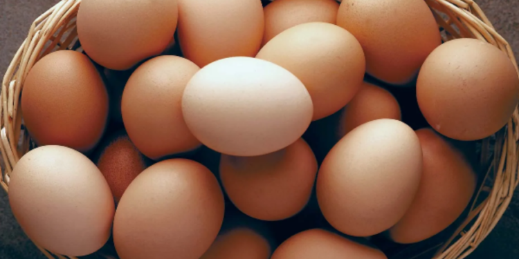 முட்டை விலையை  6 ரூபாவால் குறைக்க முடியும்