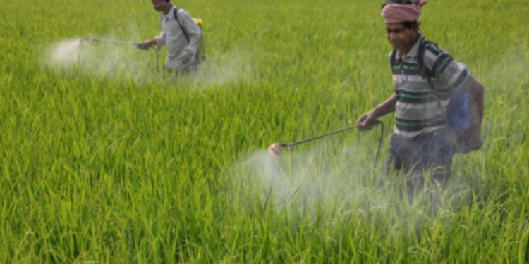 பூச்சிக்கொல்லி கட்டுப்பாட்டு தொடர்பில் வெளியாகியுள்ள செய்தி!