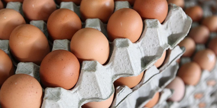 இந்தியாவில் இருந்து முட்டை இறக்குமதி செய்ய அனுமதி!