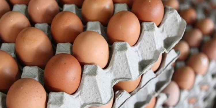 இந்தியாவில் இருந்து இறக்குமதி செய்யப்படும் முட்டைகளுக்கு சுகாதார சான்றிதழ்