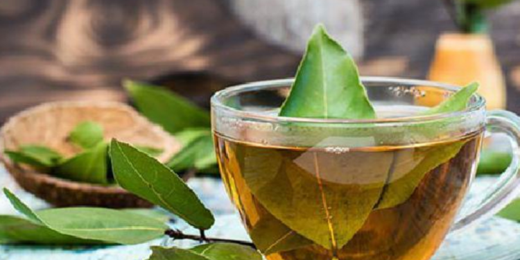 சிறுநீரக பிரச்சினையை சரி செய்யும் பிரியாணி இலை