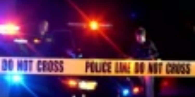 புத்தாண்டு தினத்தில் சிறைக்கு சென்ற இரு சகோதரர்கள்