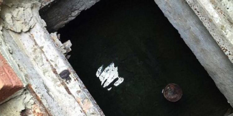 லண்டனில் குளத்தில் மிதந்த நாயின் சடலம்!