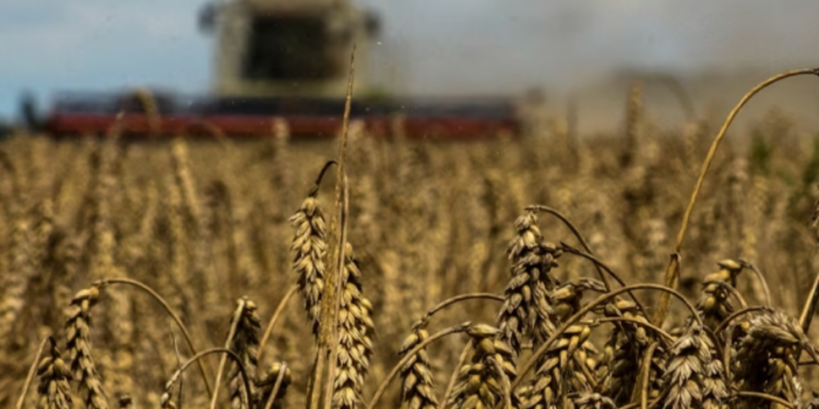 உக்ரைன் தானிய இறக்குமதிக்கு தடை விதித்த நாடு