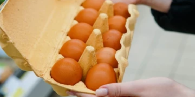 முட்டை விலை குறித்து வெளியாகியுள்ள செய்தி!