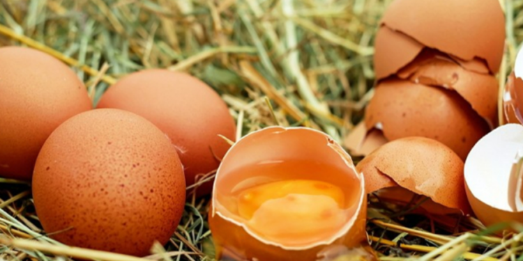 முட்டை விலை தொடர்பில் வெளியாகியுள்ள செய்தி!