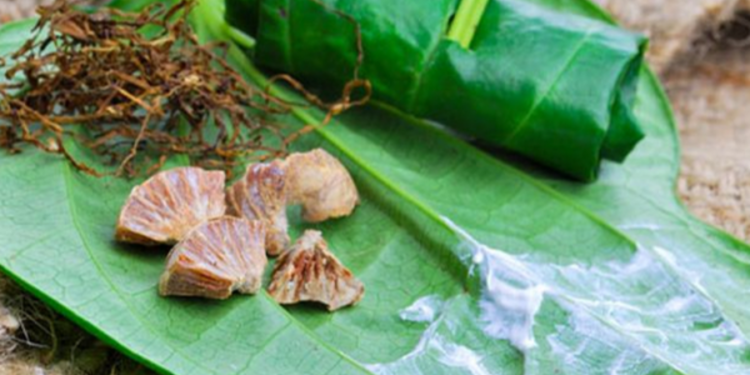 வெற்றிலை உண்போர் தொடர்பில் வெளியாகிய அதிர்ச்சி தகவல்!