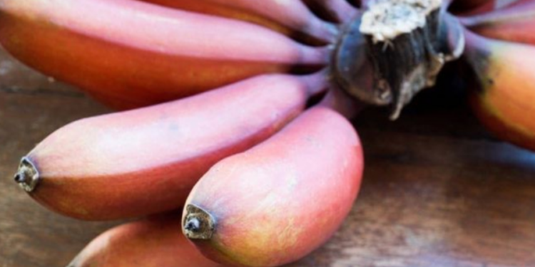 செவ்வாழையில் அடங்கியிருக்கும் நன்மைகள்