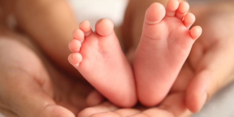 இலங்கையில் இருந்து வெளிநாட்டிற்கு கடத்தப்படும் சிசுக்கள்