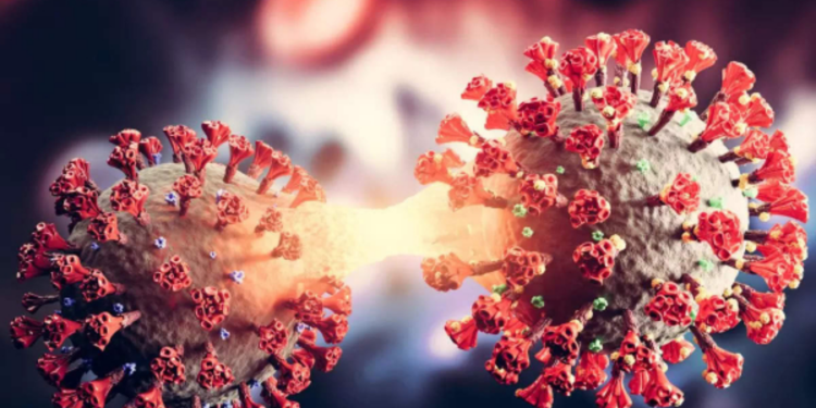 யாழில் கொரொனோ நோயாளர்களின் எண்ணிக்கை சடுதியாக அதிகரிப்பு!