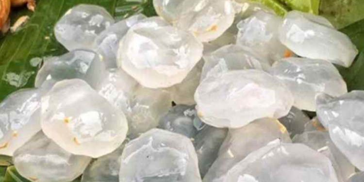 யாழில்  நுங்கு வியாபாரம் அதிகரிப்பு!