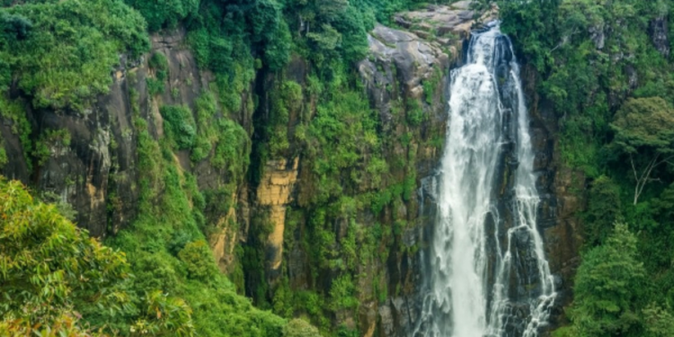 நீர்வீழ்ச்சியில் குதித்து தற்கொலை செய்து கொண்ட நான்கு பிள்ளைகளின் தாய்