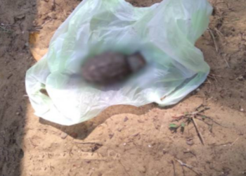 யாழ் சாவகச்சேரி வைத்தியர் ஒருவரின் வீட்டில் இருந்து கைக்குண்டு கண்டெடுப்பு!