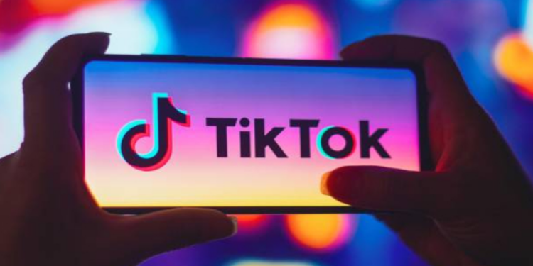 புறாக்களை எரிக்கின்ற டிக்டாக் காணொளியை வெளியிட்ட இளைஞர்கள் கைது!