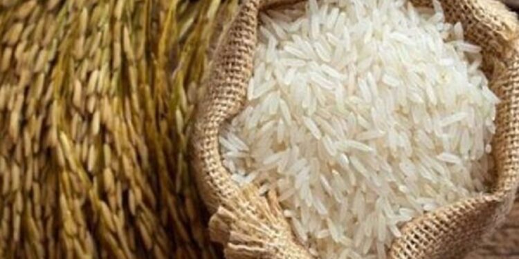 இலங்கையில் கீரிச் சம்பா அரிசிக்கு தட்டுப்பாடு!