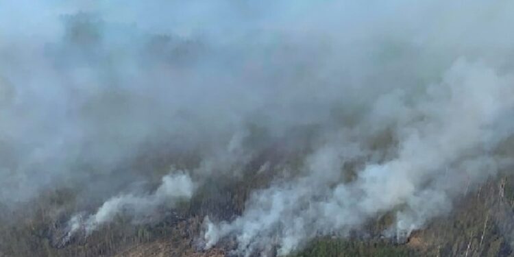 கனடாவின் அல்பர்ட்டா மாகாணத்தில் அவசரகால நிலை பிரகடனம்