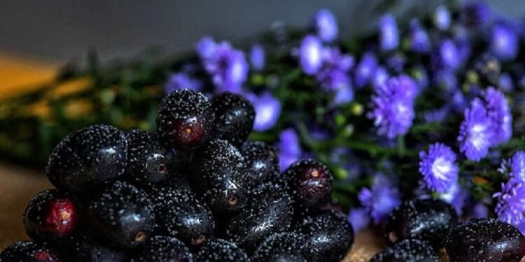 நீரிழிவு நோயாளர்களுக்கு எமனாகும் நாவல்பழம்