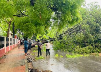 யாழில் தடைப்பட்ட போக்குவரத்து