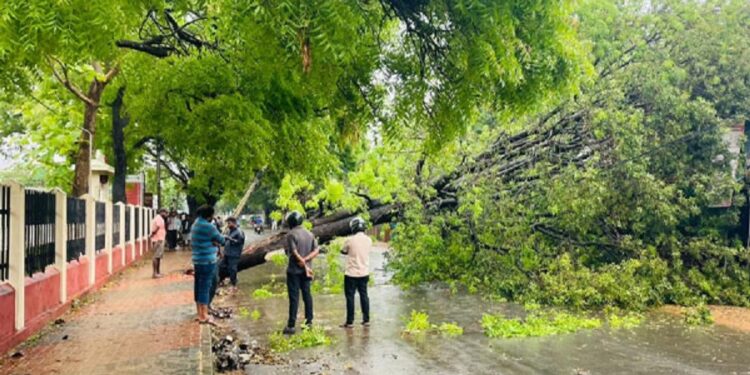 யாழில் தடைப்பட்ட போக்குவரத்து