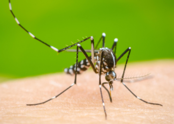 யாழ் மாவட்ட மக்களுக்கான அவசர அறிவிப்பு!