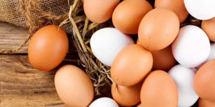 முட்டை விலை குறைப்பு!