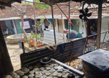 யாழில் இயங்கி வந்த இரண்டு உணவகங்களுக்கு சீல் வைப்பு!