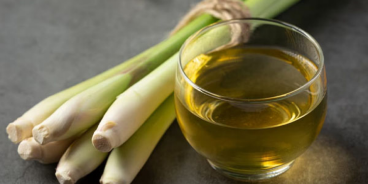 உடலில் உள்ள ரத்தத்தை சுத்தப்படுத்த உதவும் டீ