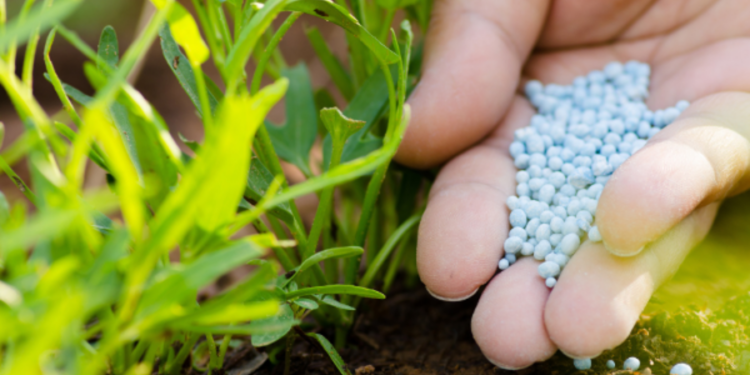 விவசாயிகளுக்கு மகிழ்ச்சியான செய்தி!