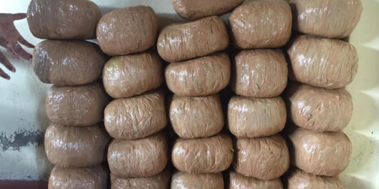 யாழ் காட்டுப்பகுதியில் கஞ்சா மீட்பு!