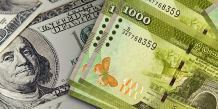 அமெரிக்க டொலருக்கு நிகராக இலங்கை ரூபாவின் பெறுமதி மீண்டும் அதிகரிப்பு!