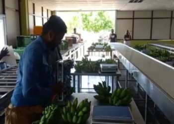 யாழ் வியாபர நிலையம் ஒன்றில் இடம்பெற்ற மோசடி அம்பலம்