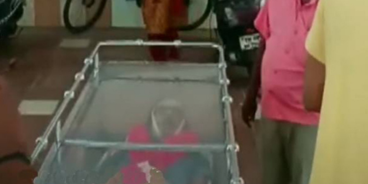 நடிகர் மனோபாலாவின் உடலுக்கு அஞ்சலி செலுத்திய நடிகர் விஜய்