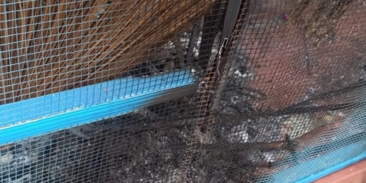 யாழில் விசமிகளால் தீக்கிரையாக்கப்பட்ட வர்த்தக நிலையம்