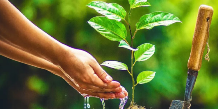 இலங்கையில் நெகிழ்ச்சியை ஏற்ப்படுத்திய வெளிநாட்டாவின் செயல்!