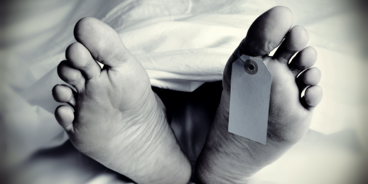 கொழும்பில் இடம்பெற்ற விபத்தில் ஓட்டோ சாரதி உயிரிழப்பு!