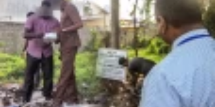 டெங்கு நோய் பரவும் காணிகளை சுவீகரிக்க முயலும் அரசு