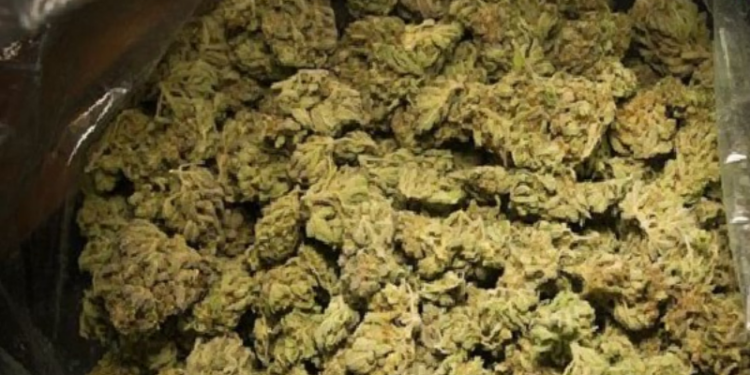 இலங்கையில் மீட்க்கப்பட்ட கஞ்சா!