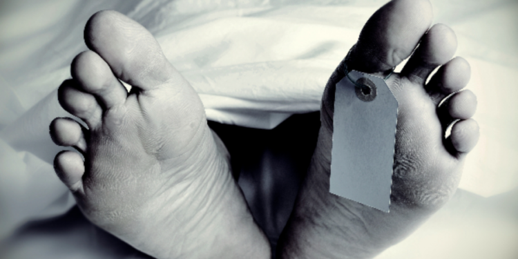 யாழில் மின்சாரம் தாக்கியதில் பெண் ஒருவர் பரிதப மரணம்