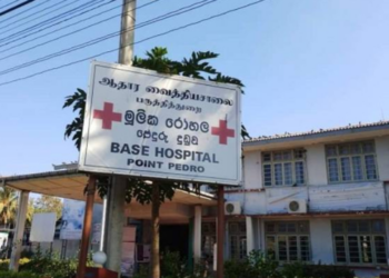 யாழில் வளர்ப்புப் பன்றியால் இளைஞனுக்கு நேர்ந்த சோகம்!