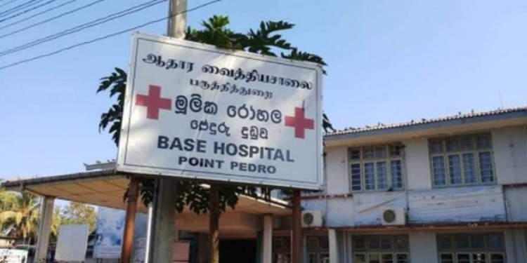 யாழில் வளர்ப்புப் பன்றியால் இளைஞனுக்கு நேர்ந்த சோகம்!