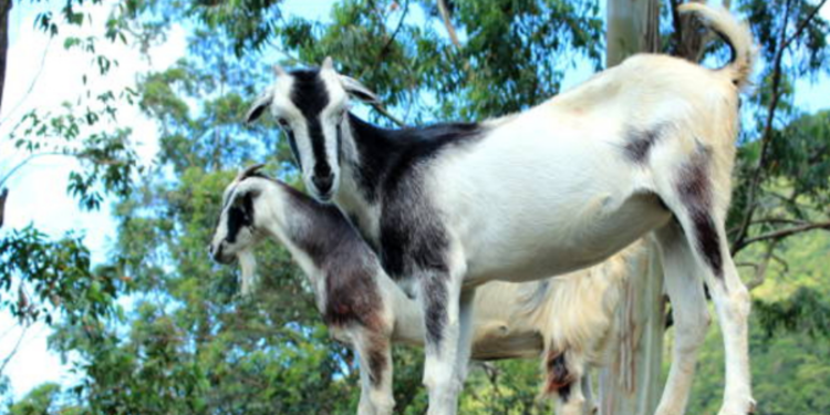 குறைந்தவருமானம் பெறும் குடும்பங்களுக்கான மகிழ்ச்சியான செய்தி
