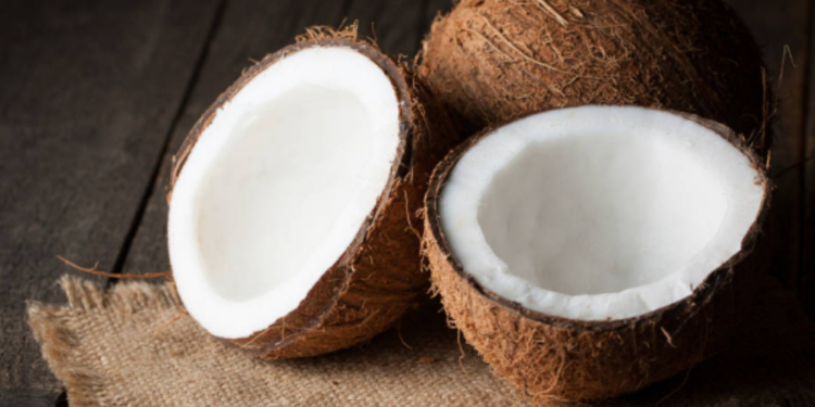 தேங்காயின் விலை குறைவடையும் வாய்ப்பு