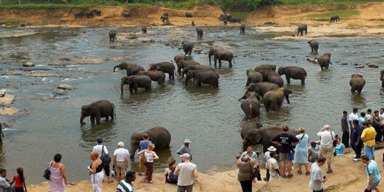 இலங்கை வரும் சுற்றுலா பயணிகளின் எண்ணிக்கை அதிகரிப்பு!