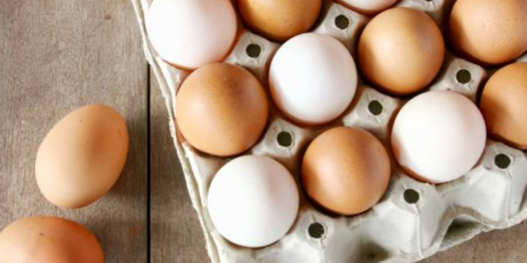 முட்டை விலை குறித்து வெளியாகியுள்ள செய்தி