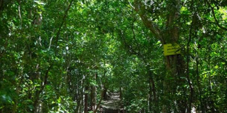 இலங்கையில் மறைந்து கிடக்கும் சோழர்கால கோவில்