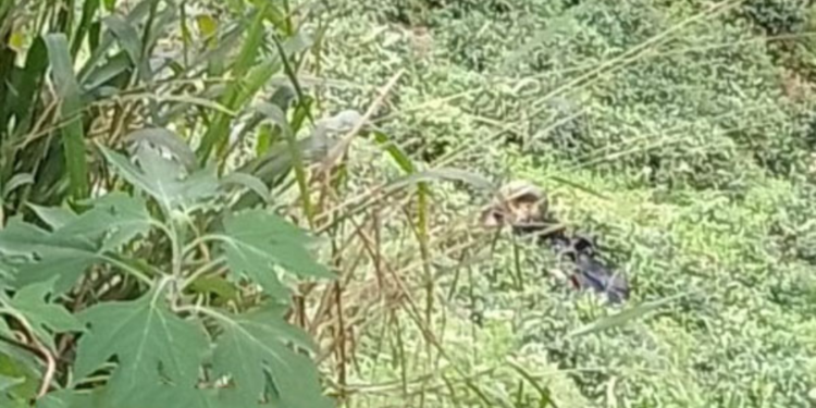 60 அடி பள்ளத்தில் கவிழ்ந்த தொழிற்ச்சாலை வாகனம்