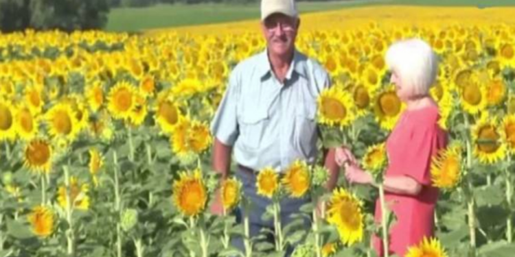 50ம் ஆண்டு திருமண விழாவில் மனைவிக்கு இன்ப அதிர்ச்சி கொடுத்த கணவன்