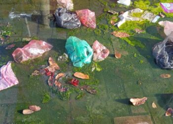 நாற்றமடிக்கும் கிளிநொச்சி நகர்