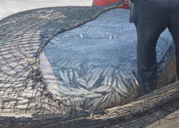 அம்பாறை மீனவர்களுக்கு கிடைத்த அதிஷ்டம்